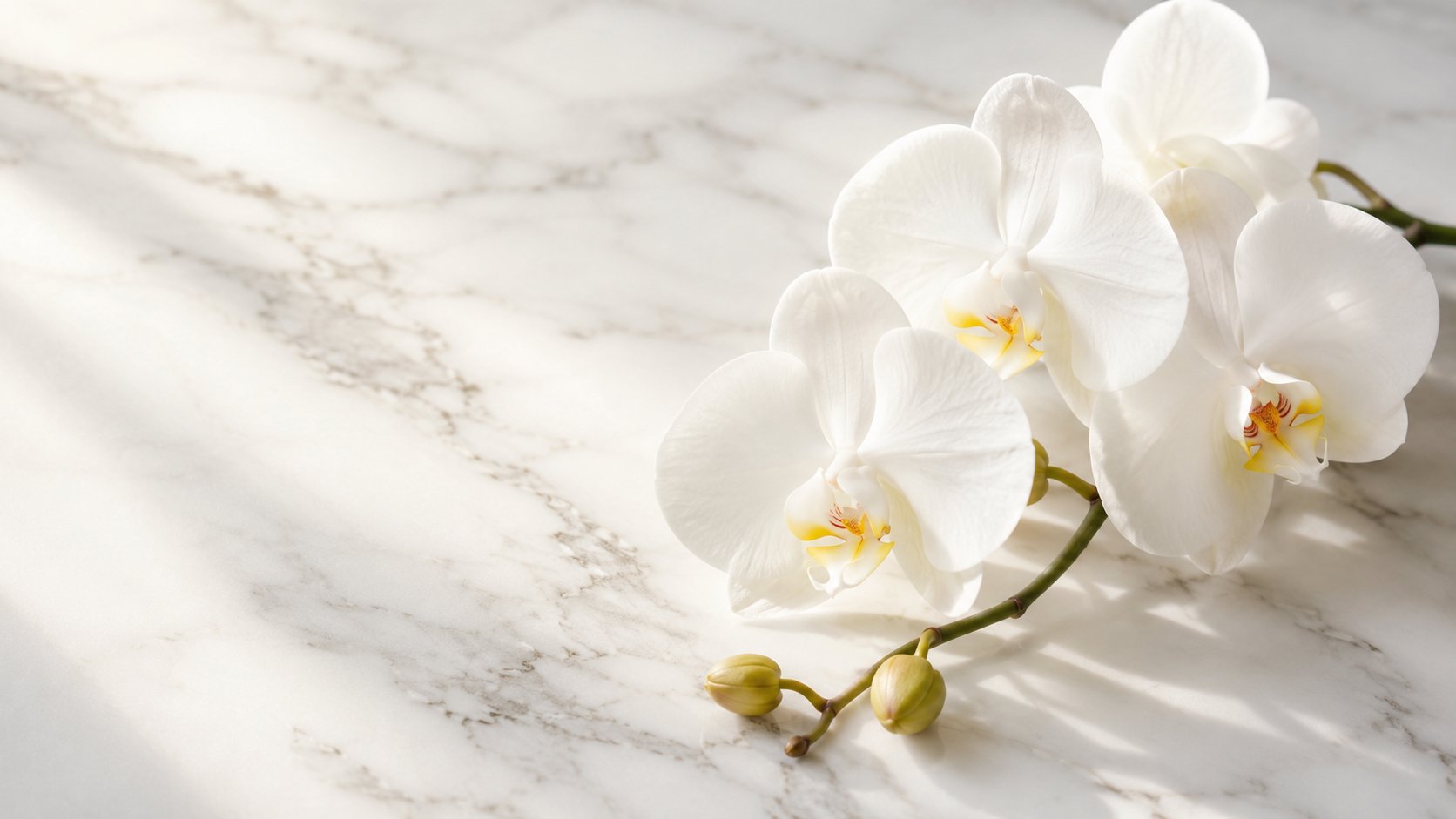 Adapalene (Differin) Là Gì? Retinoid Thế Hệ 3 Trị Mụn, Chống Lão Hóa Và Cách Dùng Đúng